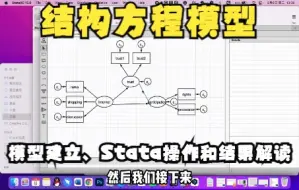 Stata | 结构方程模型2：操作及结果解读