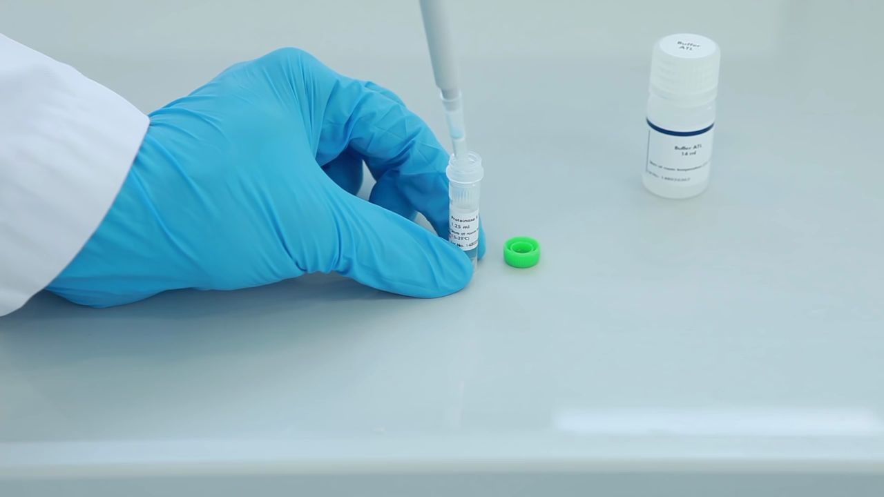 Qiagen Genomic DNA Extraction in 20 Minutes