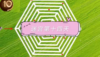 每日迷宫 哔哩哔哩 Bilibili