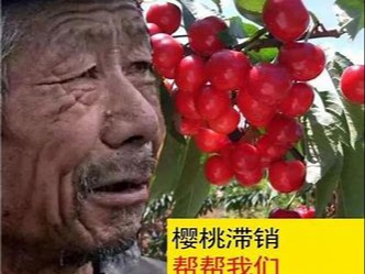 种地种到你回来(2)98916993
