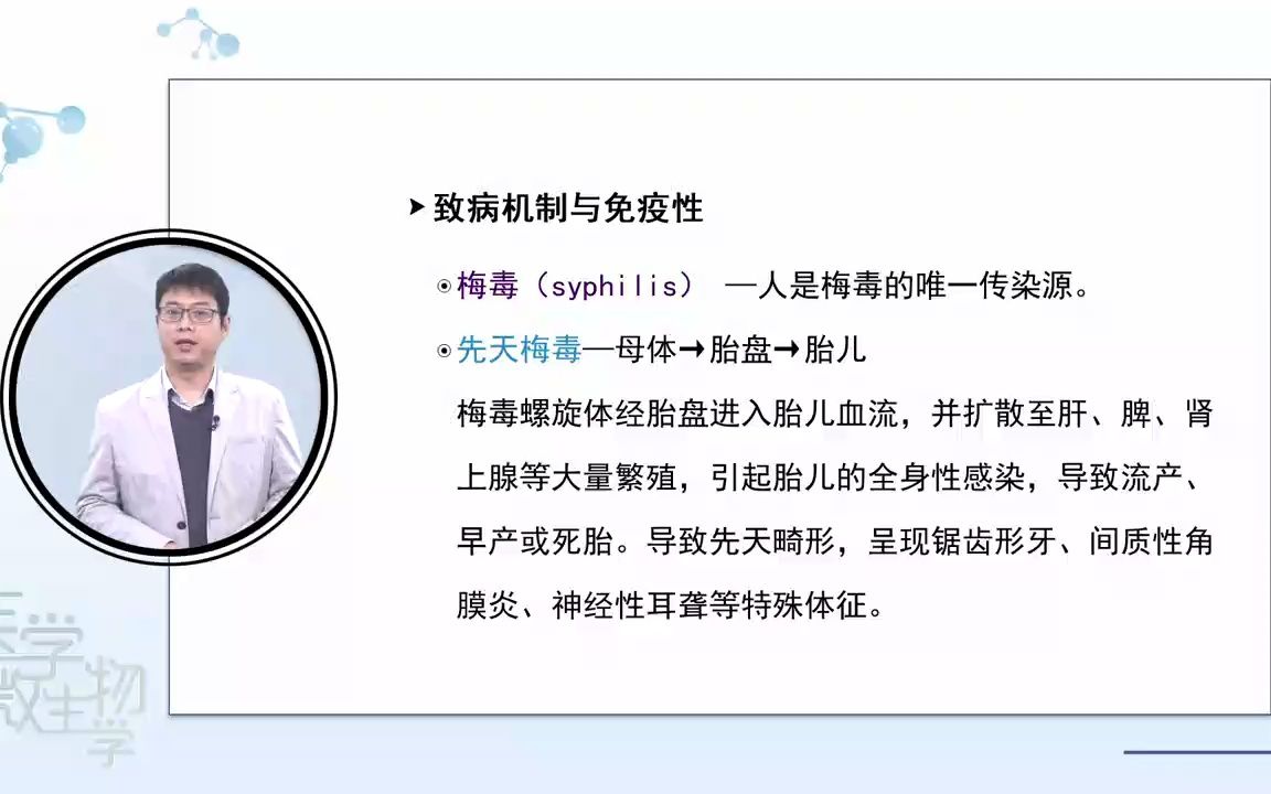 20 螺旋体(视频)哔哩哔哩bilibili