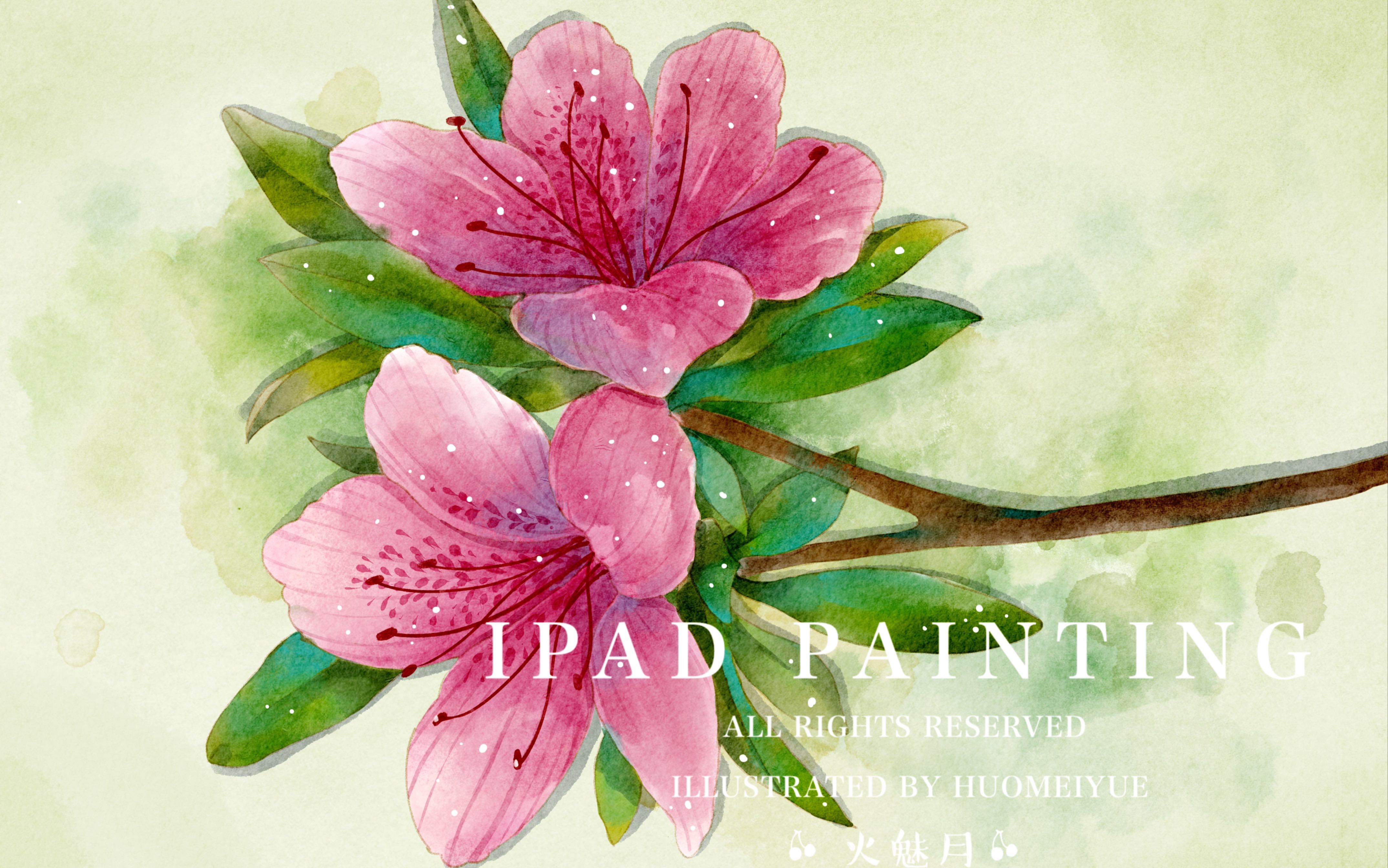 ipad仿水彩插画杜鹃花procreate水彩插画
