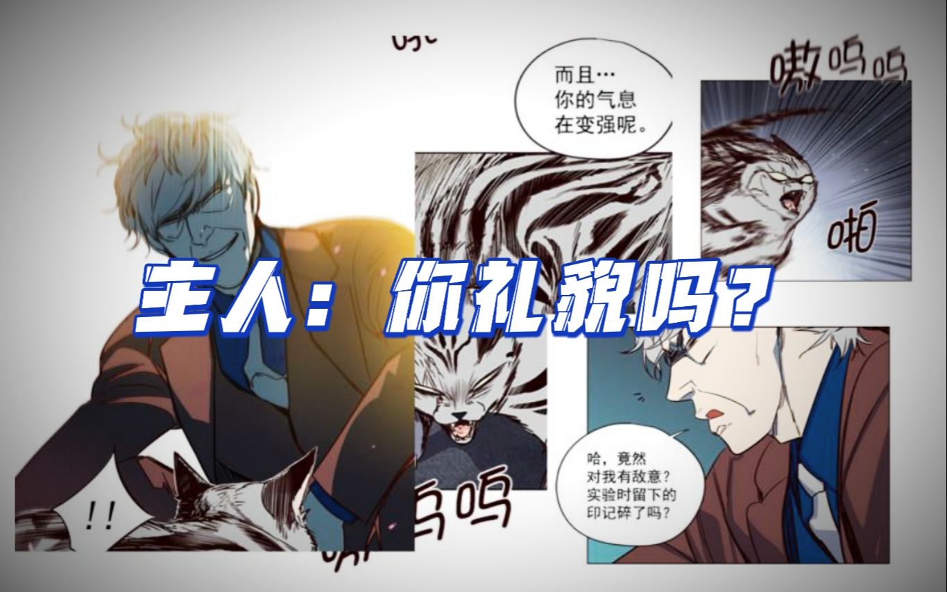 [图]猫咪出走半生，归来居然痛打主人！【动态漫画】《觉醒吧铲屎官》（EP 11）