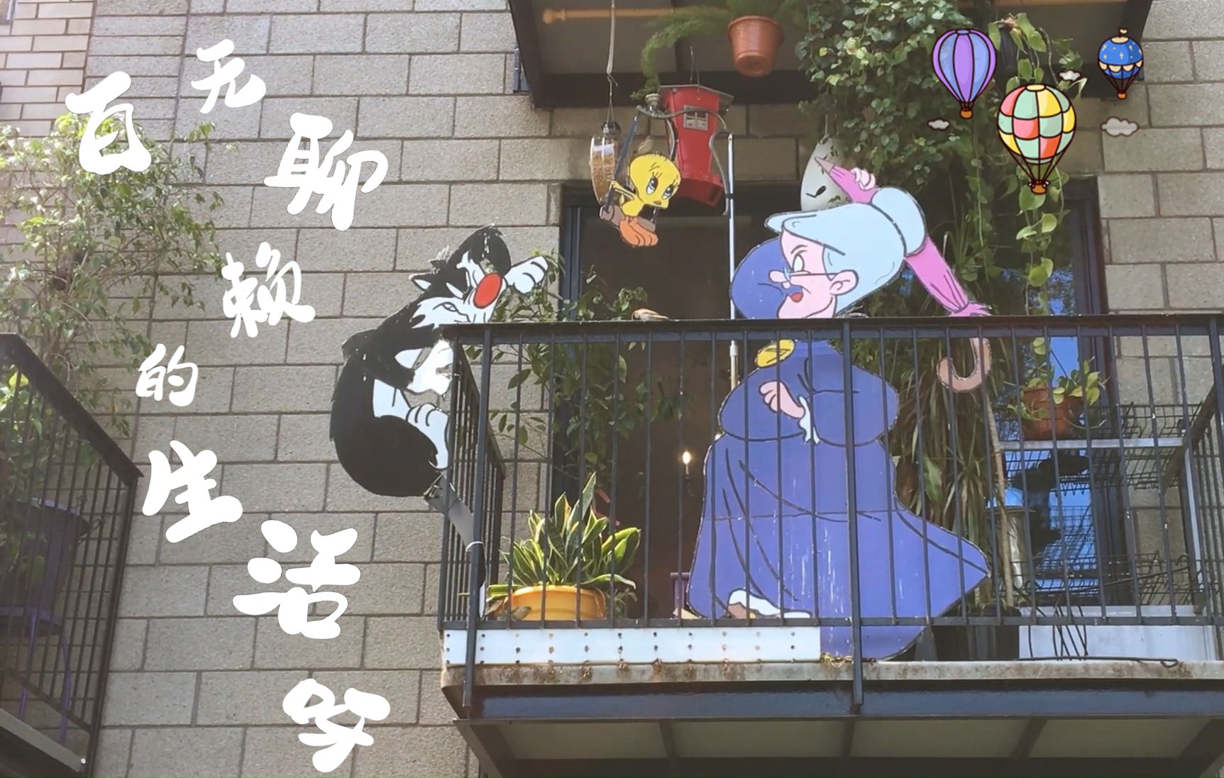 【拍摄/记录】百无聊赖的生活呀 #12