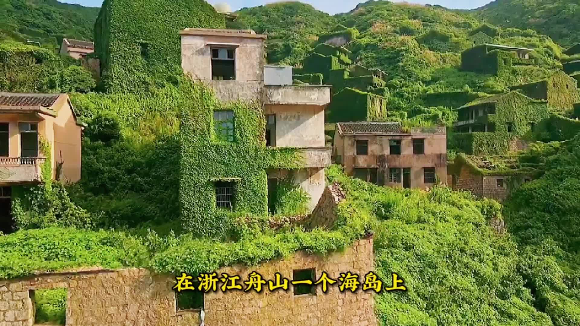 浙江舟山有一个令人向往的无人村哔哩哔哩bilibili