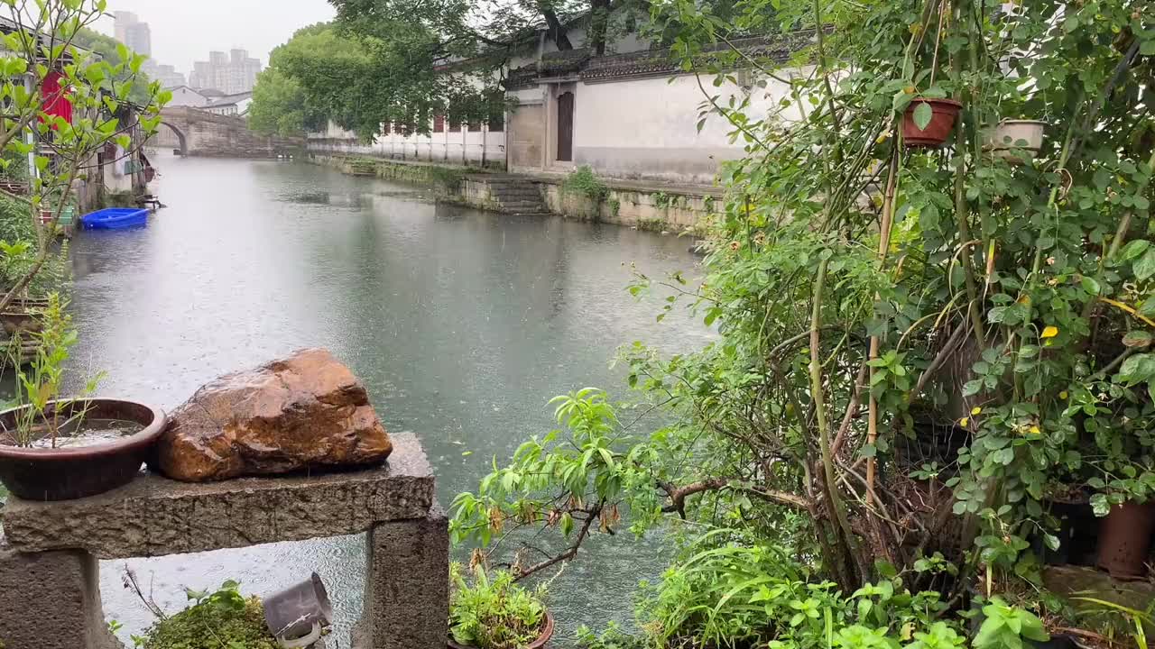 春雨霏霏图片