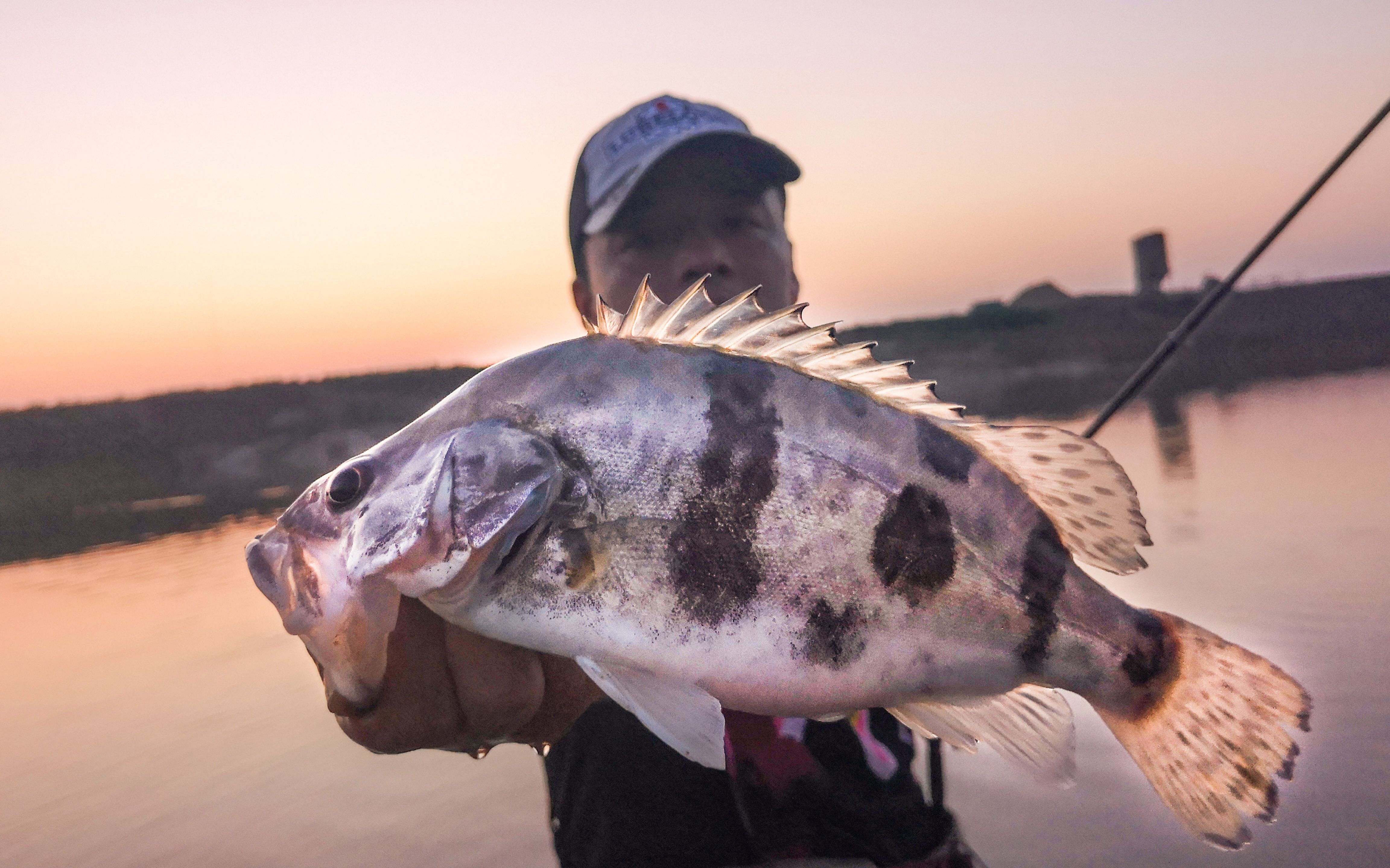 lurelogs绫罗陈知其姑溪河路亚白鳜_哔哩哔哩 (゜-゜)つロ 干杯~-bili