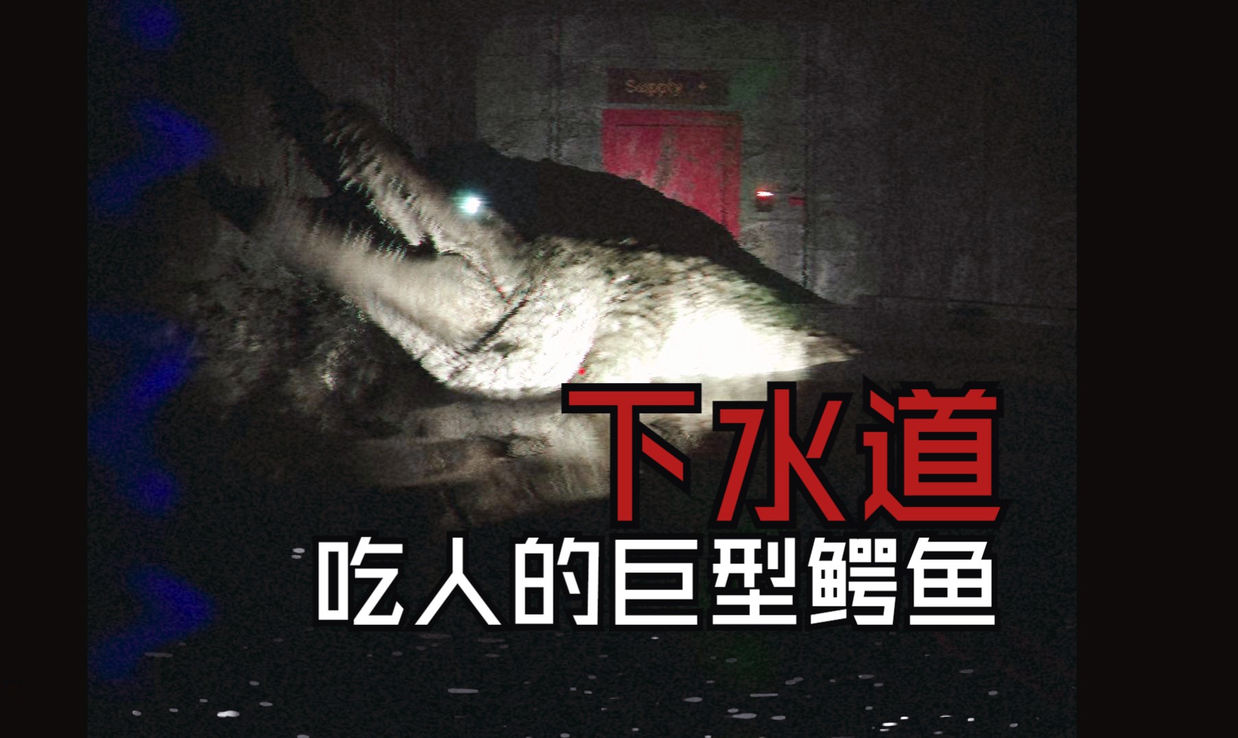 下水道巨型鳄鱼,如果跑得不够快就只能被吃掉crocodilemaldido速通