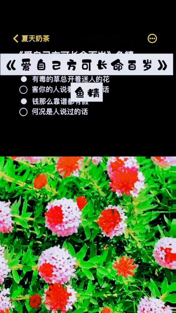 [图]#爱自己方可长命百岁 #林家二少爷 #有毒的草开着迷人的花 #爱自己方可长命百岁翻唱 #爱自己方可长命百岁合唱