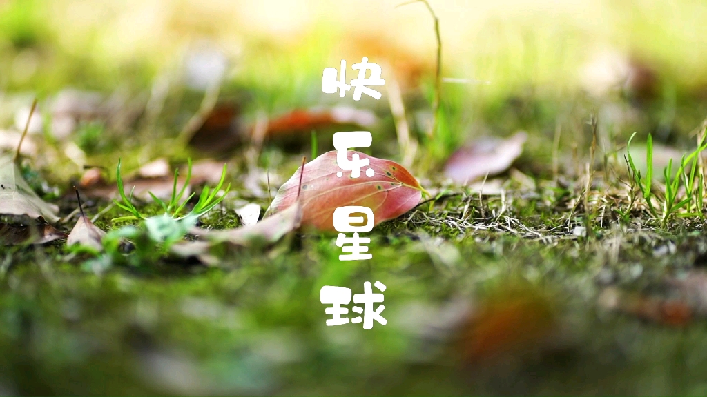 什么是快乐星球