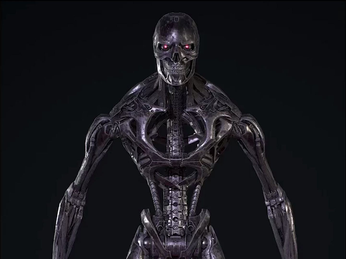 钢铁骨骼模型展示