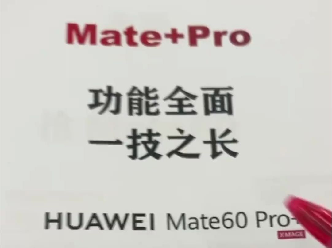 我真服了,有人问我遥遥领先里面的mate和pro都是什么意思?
