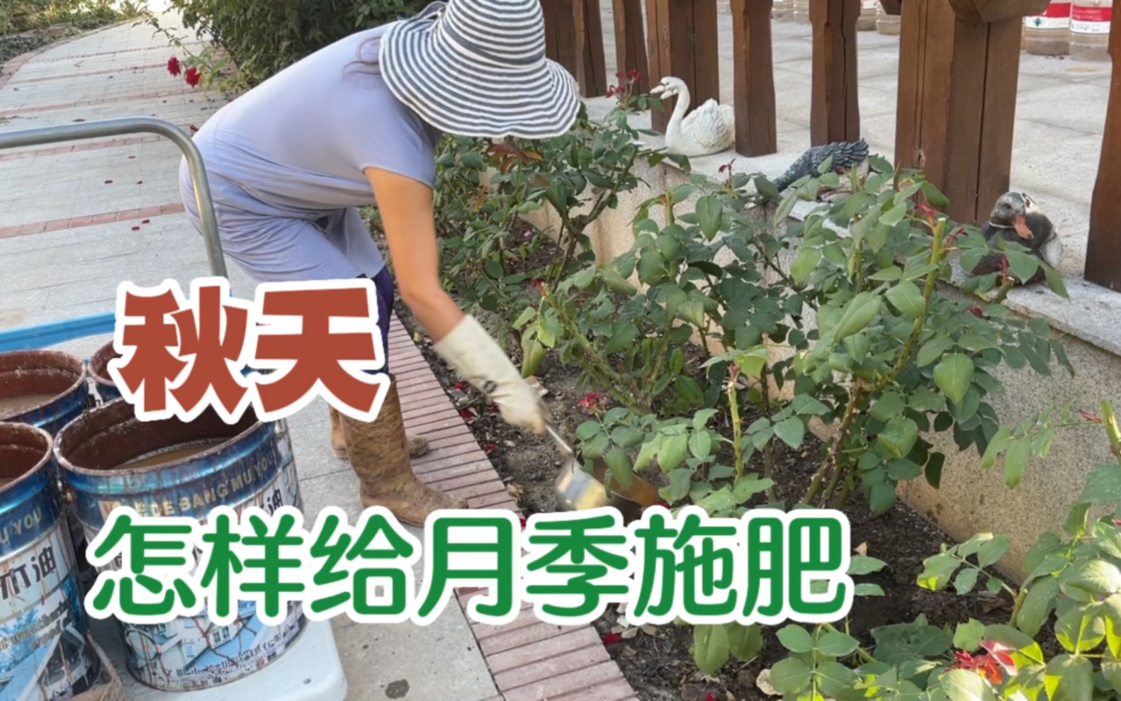 [图]刚进入秋天，花园里的植物怎样施肥？施什么肥？