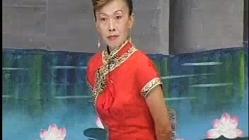 河南坠子 李娘娘还朝9