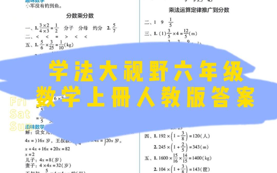 湖南教育出版社学法大视野六年级数学上册人教版答案哔哩哔哩bilibili