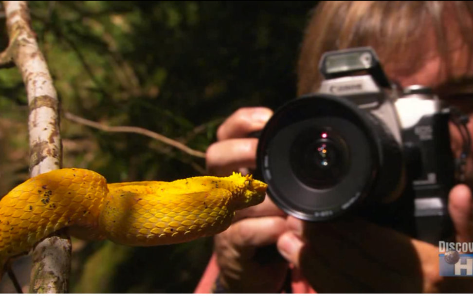 弄蛇人奥斯汀:《奥斯汀闯荒野》 【高清】