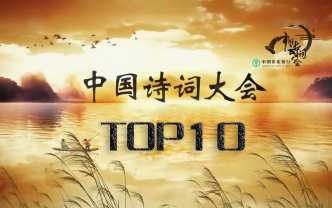 [图]诗词大会精彩瞬间TOP10