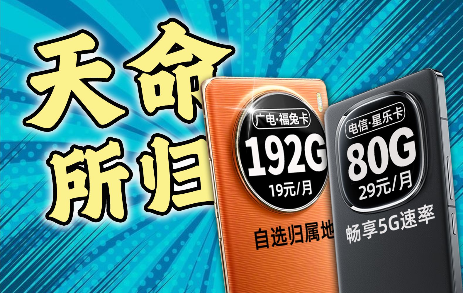 要爆了!19元192G流量卡这次真的起飞了?2024流量卡推荐指南!广电福兔卡|电信星乐卡哔哩哔哩bilibili