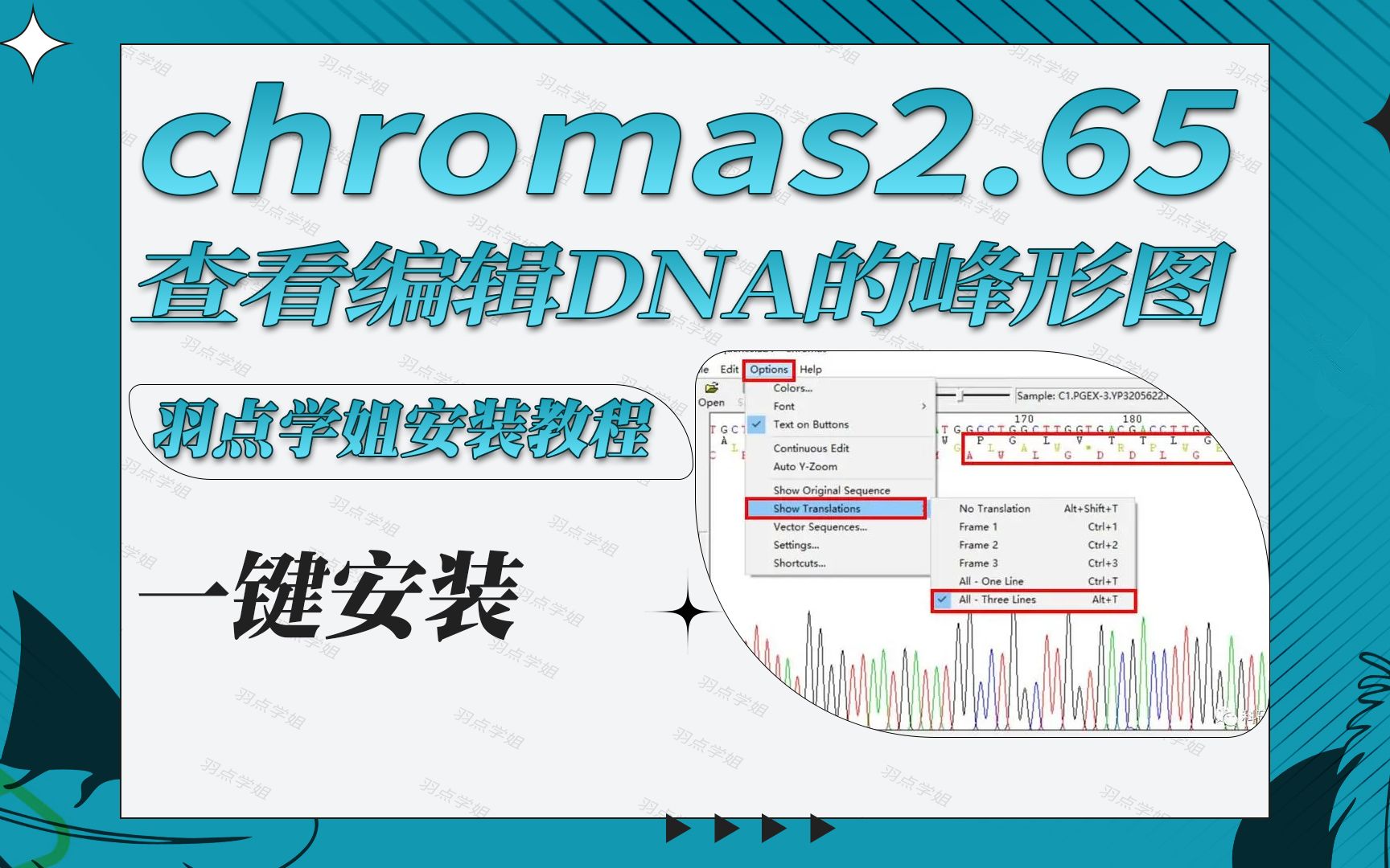 一键安装chromas2.65查看、编辑DNA的峰形图软件哔哩哔哩bilibili