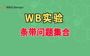 下载视频: WB实验所遇到的条带问题全在这里