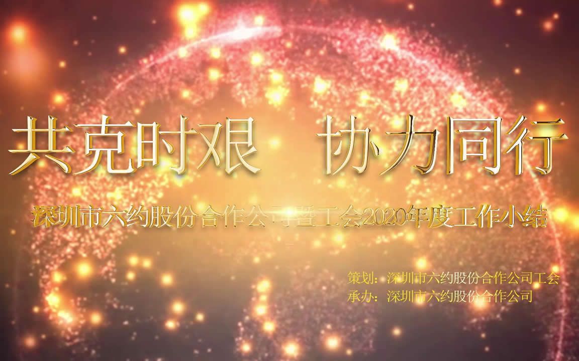 深圳市六约股份合作公司暨工会2020年度工作小结活动哔哩哔哩bilibili