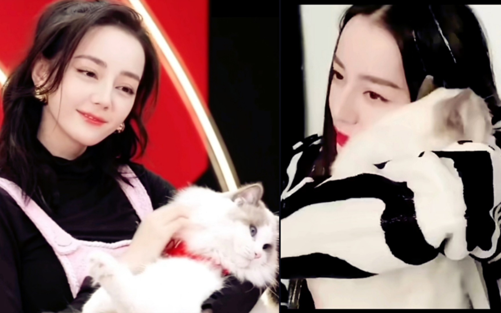 迪丽热巴的撸猫日常~情到深处总是想把小猫咪"吃掉"