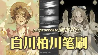 Video herunterladen: 【ps/procreate/画世界pro/csp笔刷】简介自取！白川柏川老师同款笔刷~蛙趣！尊嘟敲好用的笔刷！我真的吹爆这款笔刷！