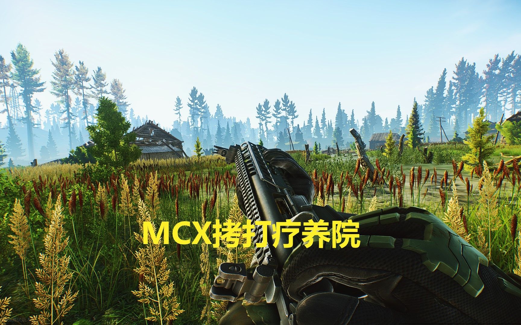 逃离塔科夫,mcx拷打疗养院