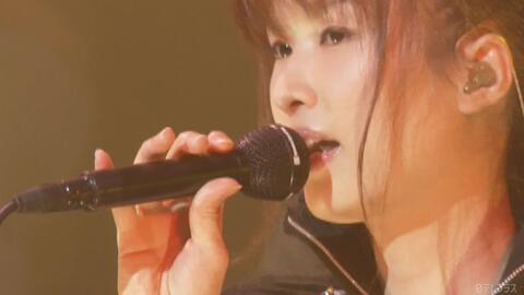 GARNET CROW livescope 2009 ～夜明けのSoul～_哔哩哔哩_bilibili