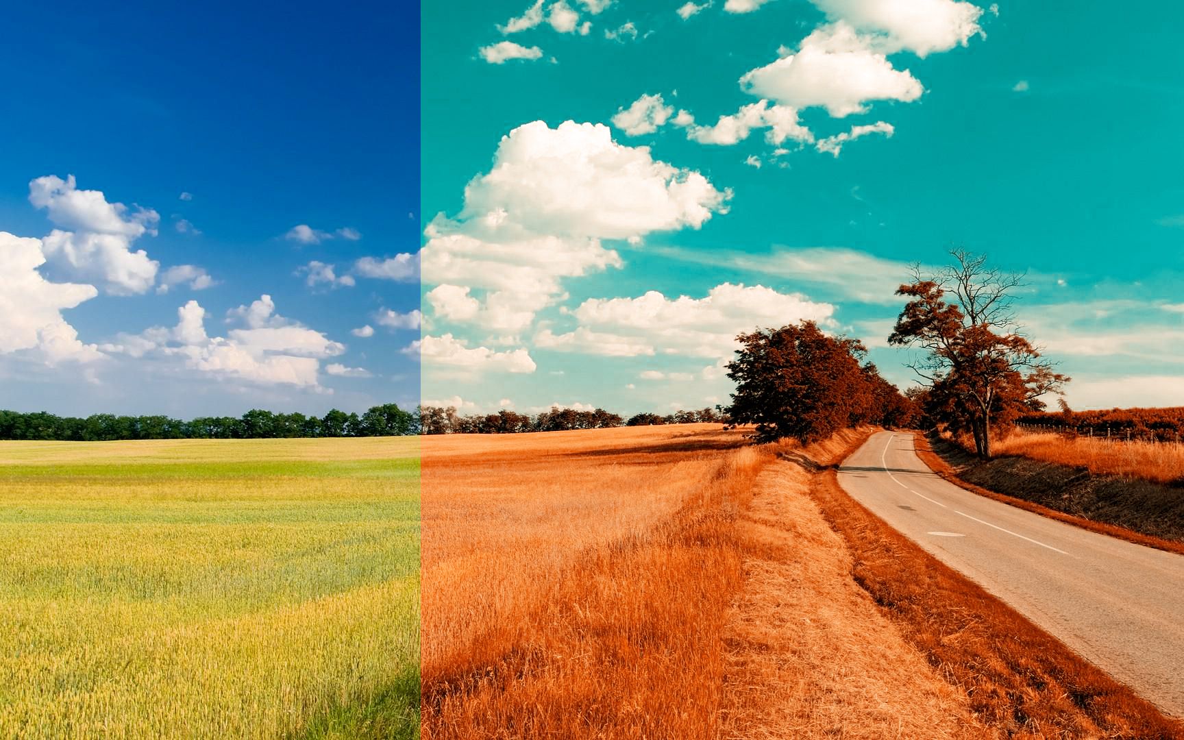 活动作品在pr中快速准确的调出电影影调青橙色