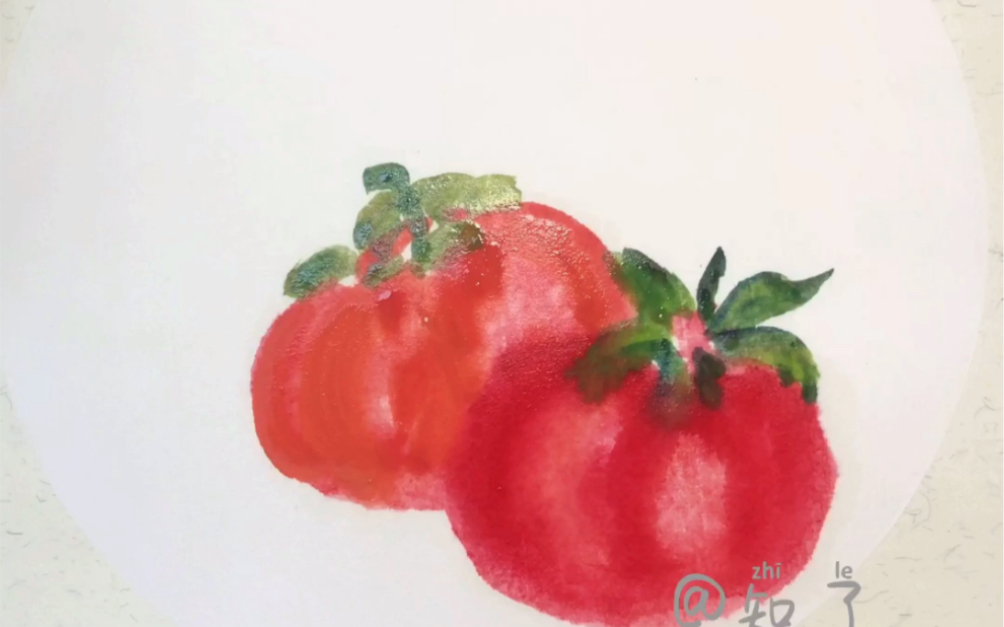 国画教程打卡26集西红柿
