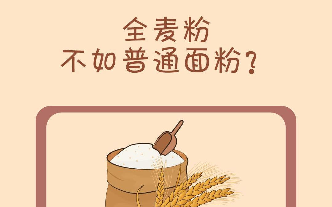 全麦粉不如普通面粉吗?哔哩哔哩bilibili