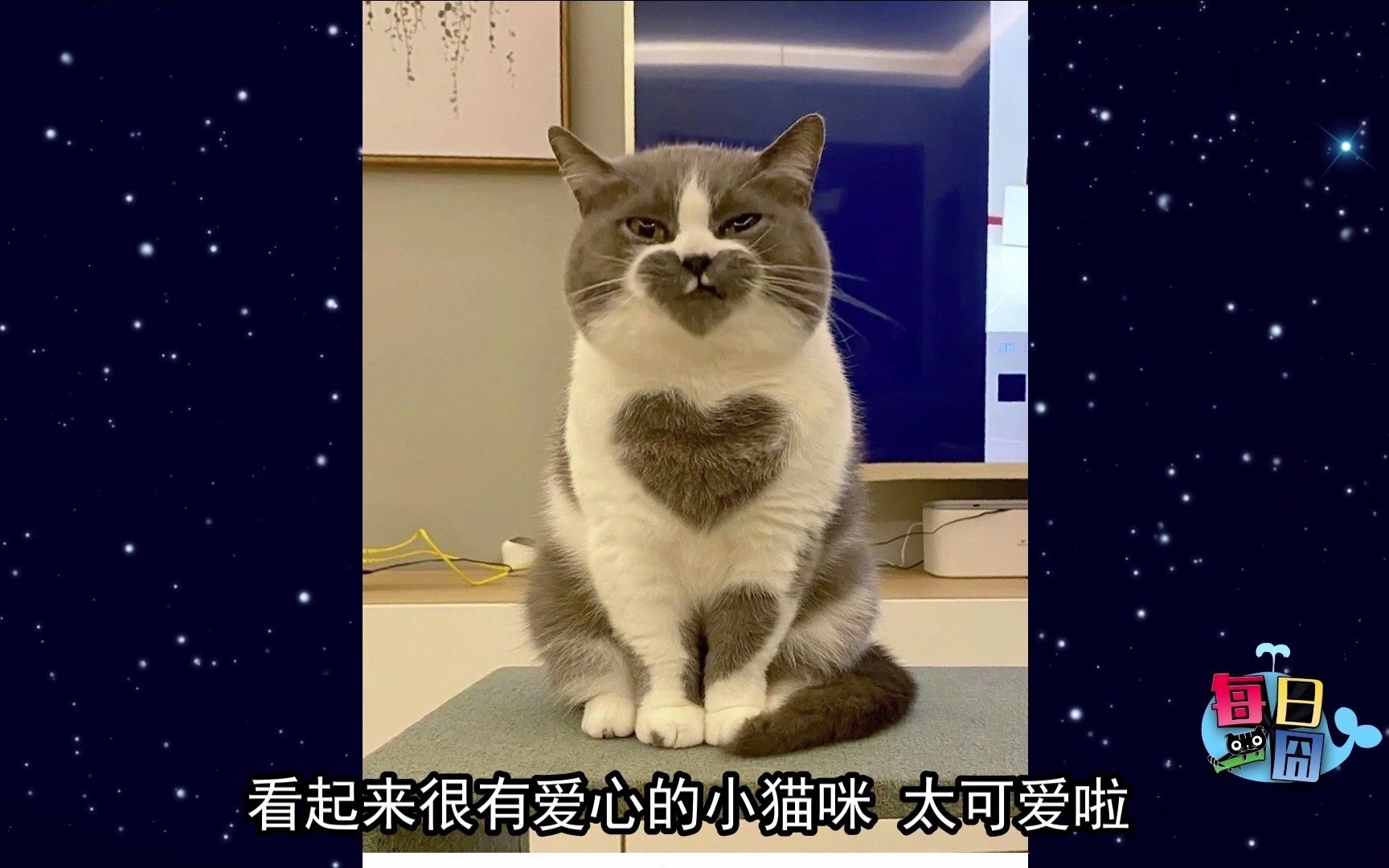 【每日一囧】可能这是他这一生最社死的瞬间 |猫猫村长