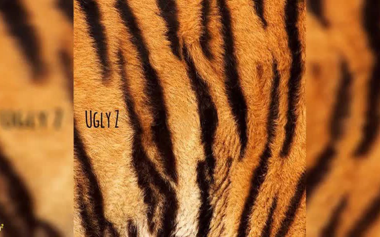 横空出世 - ugly z