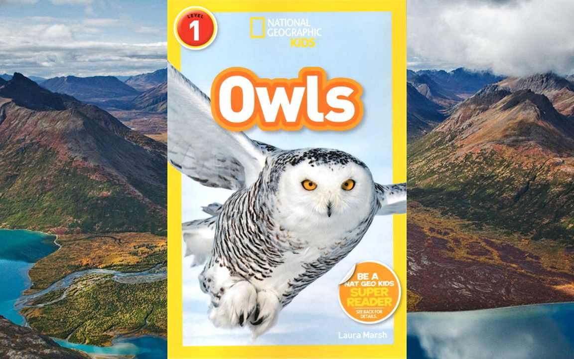 [图]Owls 美国国家地理分级阅读，儿童英语科普读物