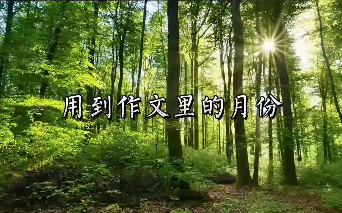 作文素材01哔哩哔哩bilibili