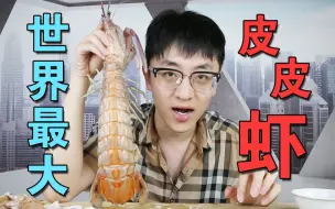 Download Video: 试吃比龙虾还贵的巨型皮皮虾，味道堪比皇帝蟹！