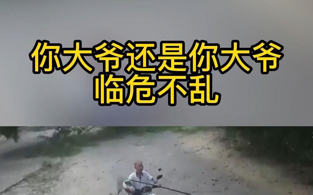 你大爷还是你大爷,临危不乱