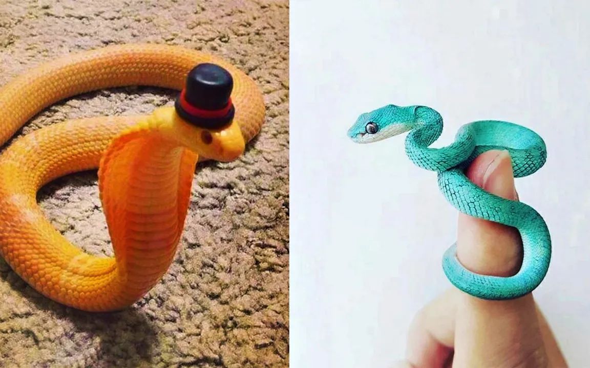 【萌宠】【搞笑】蛇蛇也可以很可爱