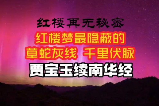 15.贾宝玉续南华经看懂红楼梦的叙事逻辑:燃藜图~千红一窟万艳同杯怀金悼玉怀古诗偷香玉之间的逻辑关系~红楼梦索隐哔哩哔哩bilibili