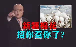 Tải video: 【灯哥】83 新疆棉花招你惹你了？