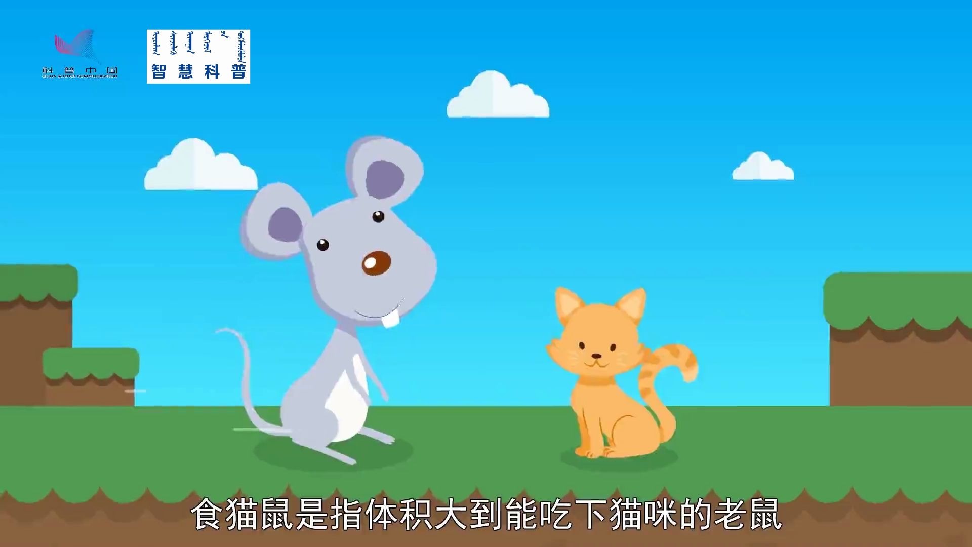 食猫鼠
