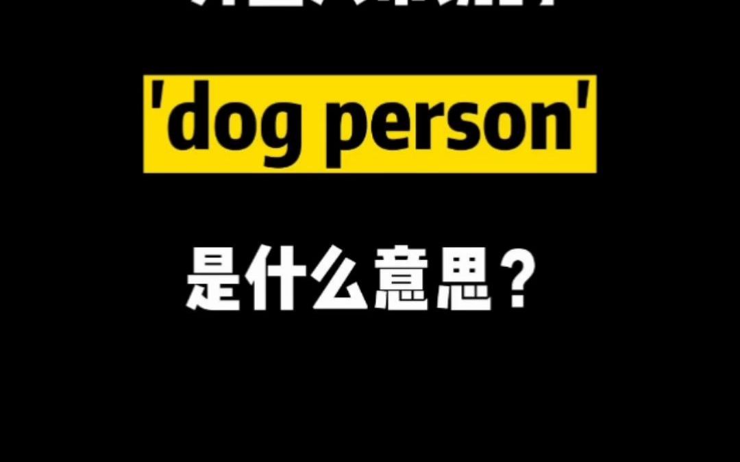 【英语】外国人常说的dog person是什么意思?哔哩哔哩bilibili