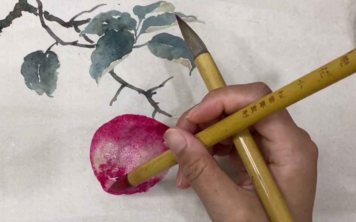 【国画】没骨苹果画法教程