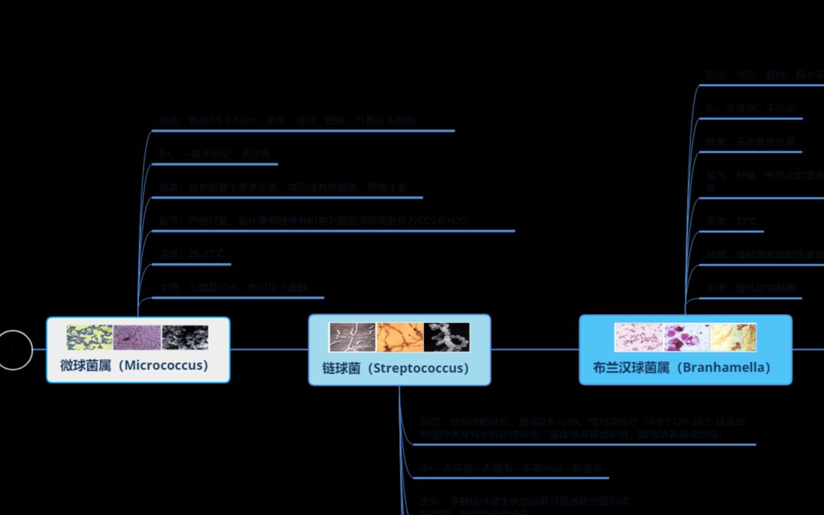 微生物图谱球菌排列方式哔哩哔哩bilibili