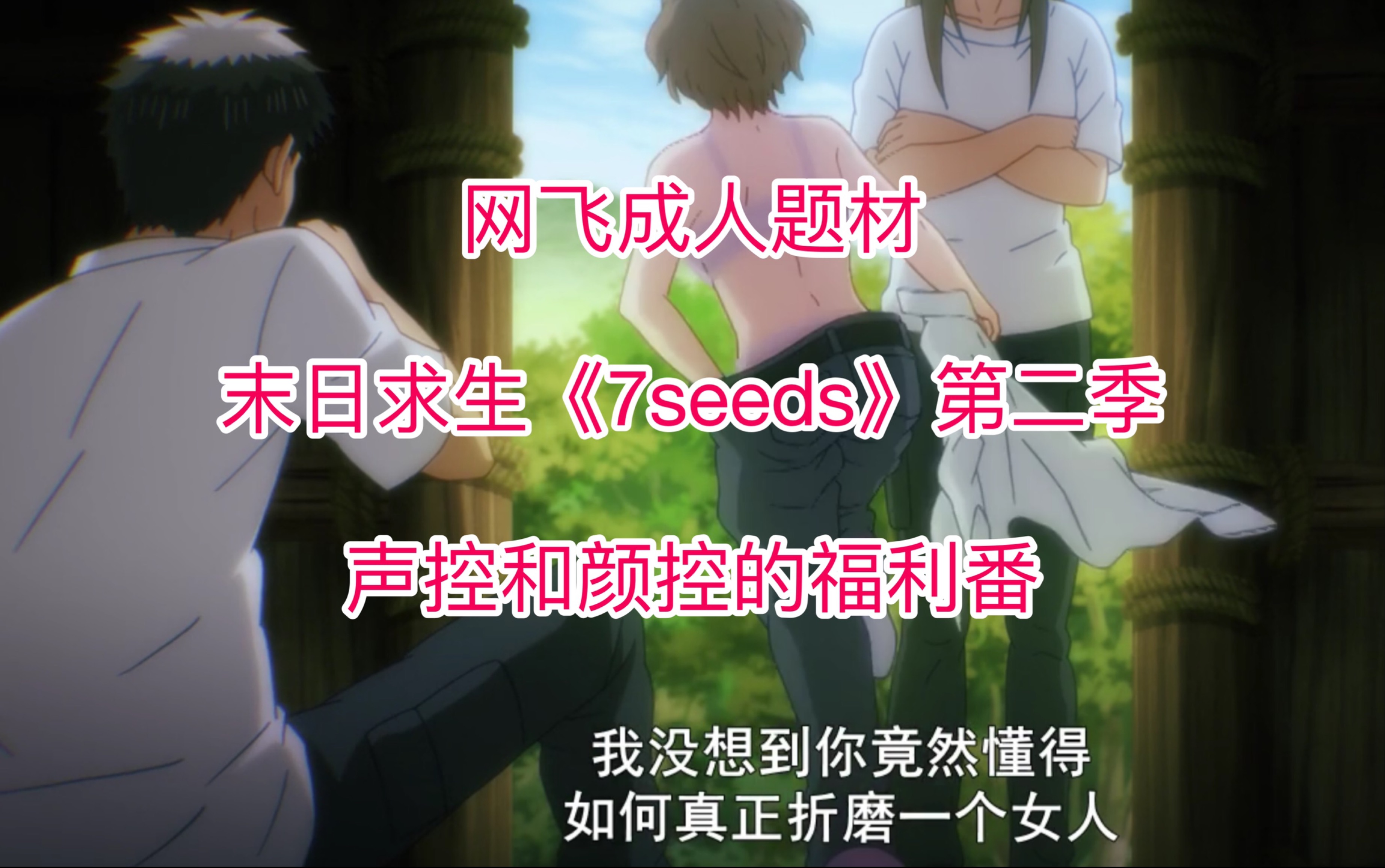 网飞2021年动漫《7seeds》又名《幻海奇情》第二季已放送哔哩哔哩bilibili