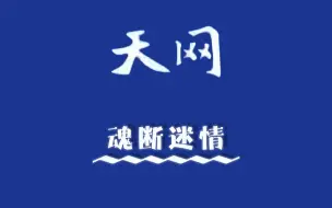 Download Video: 《天网》魂断迷情