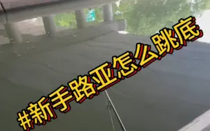 Descargar video: 路亚跳底指南