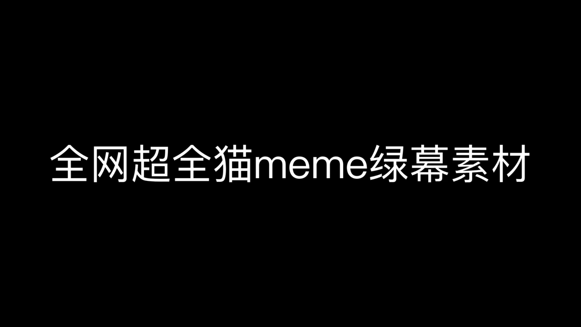 全网超全猫meme绿幕素材来辣!随时可用哔哩哔哩bilibili