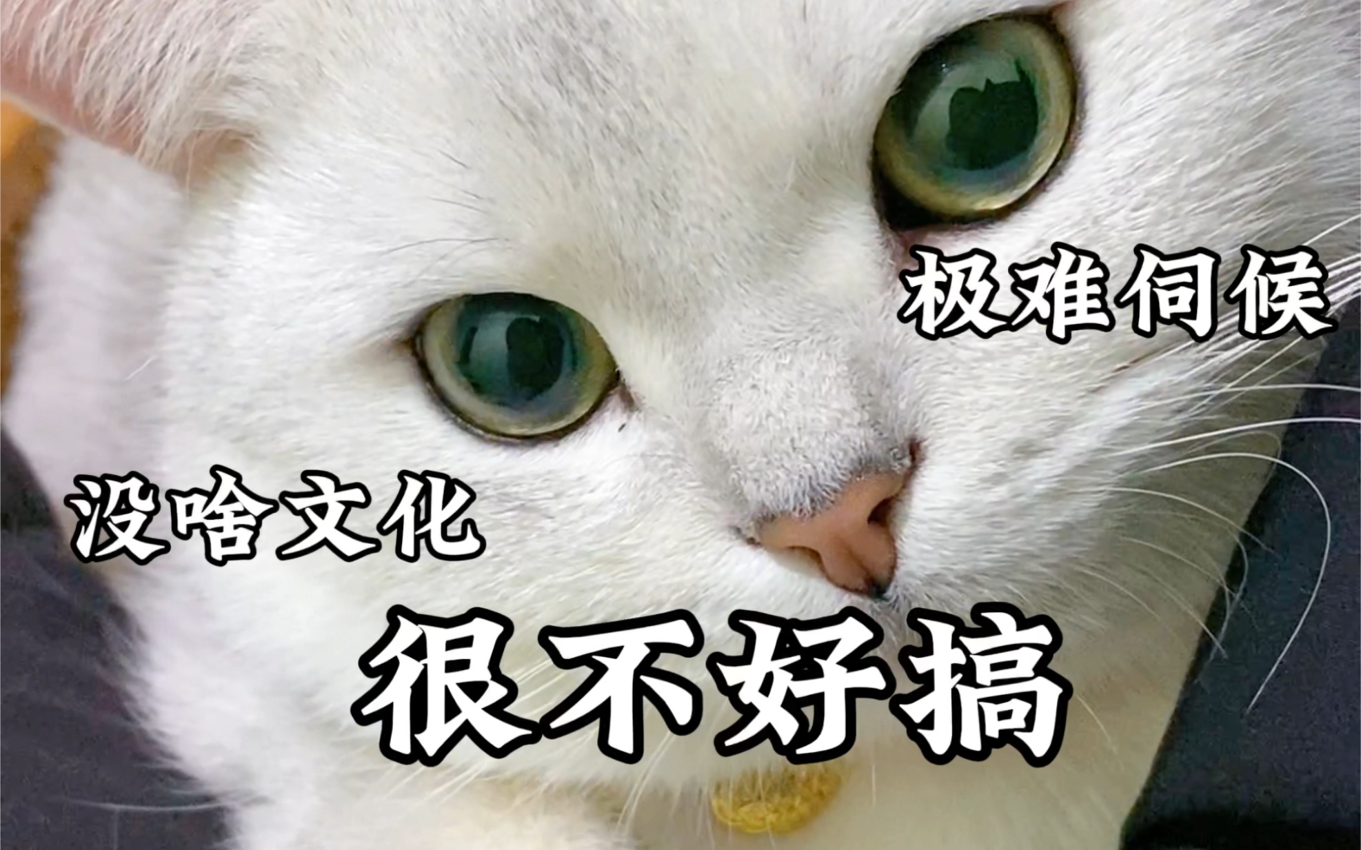 让我看看你家的小祖宗